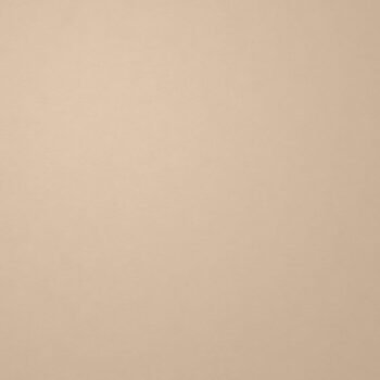 Background Paper 9ft Beige #25