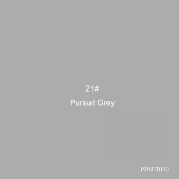 Background Paper 9ft Persuit Grey #21